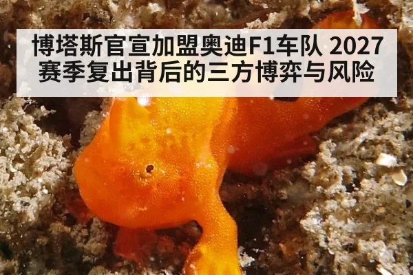 博塔斯官宣加盟奥迪F1车队 2027赛季复出背后的三方博弈与风险